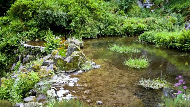 Peaceful flute music sound | Relaxing flute music | смотреть онлайн