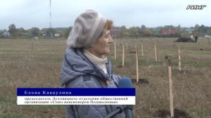 Луховицкий фермер Светлана Астапова реализуется проект по созданию яблоневого сада