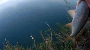 Рыбалка, сентябрь, река Чу