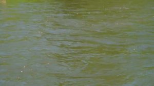 Скег из канистры типа Sanfor