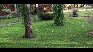 Автополив. Сливаем и продуваем.