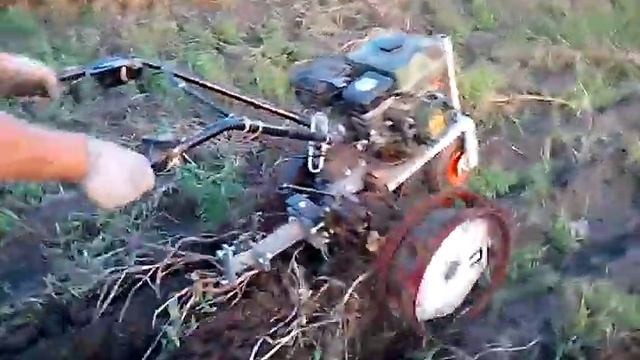 Уборка картофеля мотоблоком Zirka 3060B /Harvesting potatoes motor-block смотреть онлайн