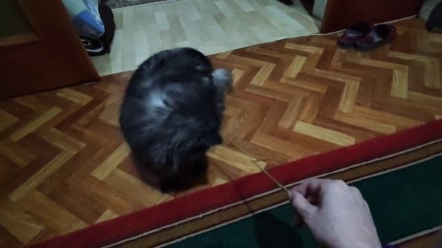 Играюсь