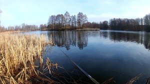 Плотва весной на реке.Активная плотва.Ловля плотвы на поплавочную удочку.Насадка на плотву.Плотва.