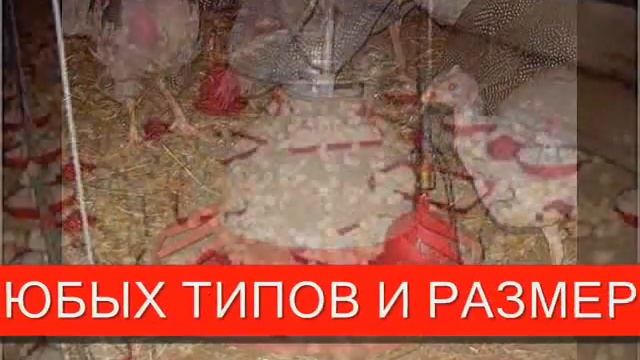 КАК СДЕЛАТЬ КОРМУШКИ ДЛЯ КУР БРОЙЛЕРОВ