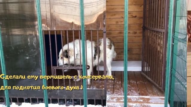 Новости про Феникса, Мию и многое другое! смотреть онлайн