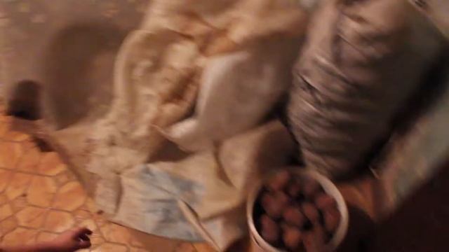 Обработка кедровой шишки. Мясорубка. Сито.