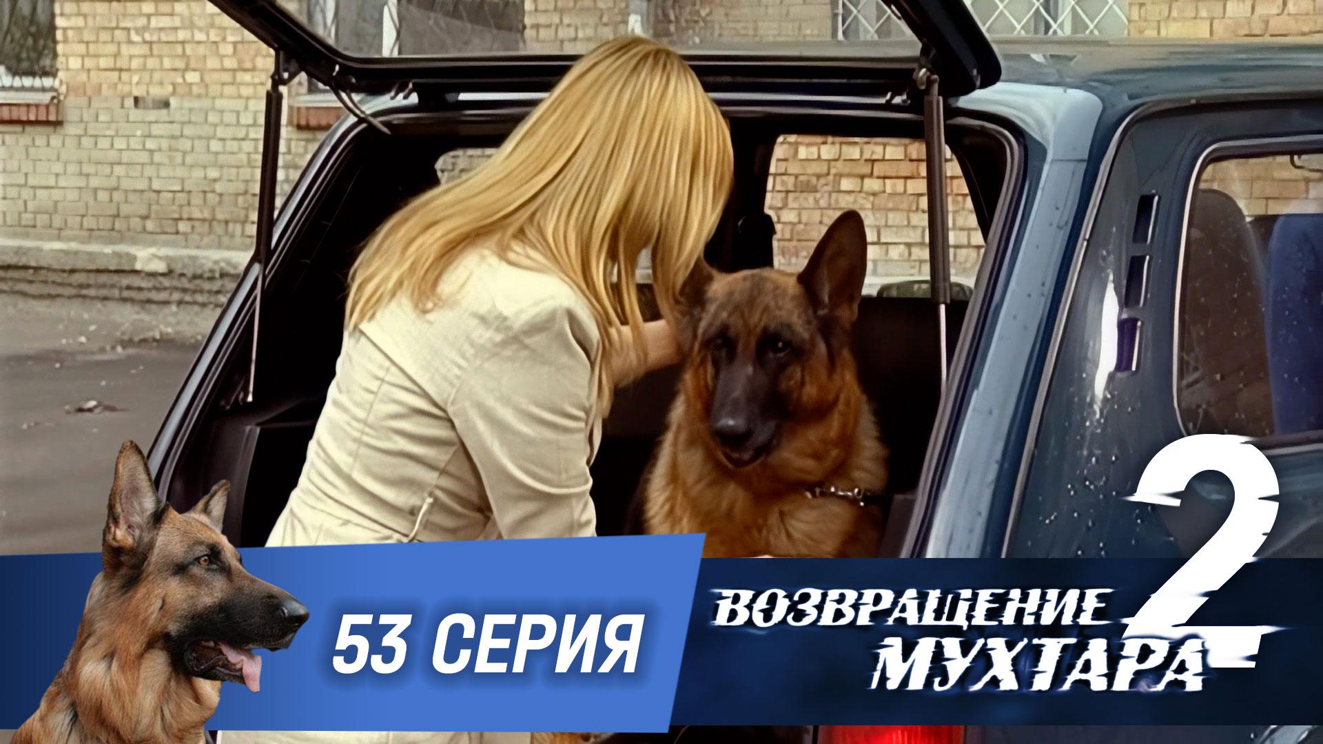 Возвращение Мухтара  2. 53 серия. Простота хуже воровства