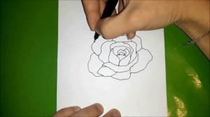 Как нарисовать РОЗУ? Лёгкие рисунки для срисовки