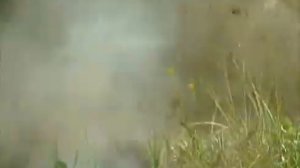 Ударная сила (фильм 62 из 176)