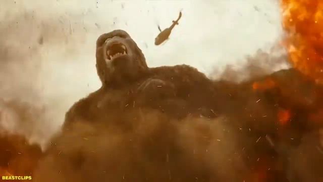 Evolution of Kong`s chest beating смотреть онлайн