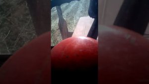 Т25 с роторной косилкой виракс. Потянет ли???
