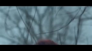 Линда Раненные волк и волчица Повесь меня