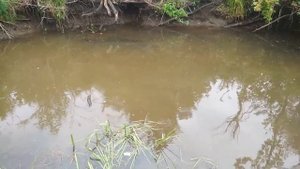 Первый опыт поискового магнита ТРИТОН