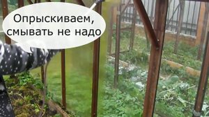 Обработка теплицы фармайодом