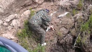 река печора