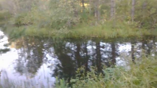 как кидать спининг смотреть онлайн