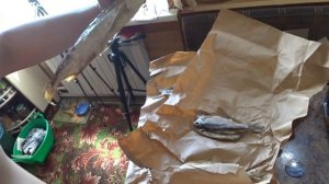 СВИНОМАТКИ В НОВОМ САРАЕ