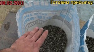 Сеем БАРХАТЦЫ правильно✔️. Посев в большом объеме. Сеем 100.000 БАРХАТЦЕВ. МЕГА ПОСЕВ??