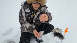 Живем в ТАЙГЕ в минус 30 | В палатке БЕРЕГ УП 2 | Ловим ОПИСТОРХОЗ