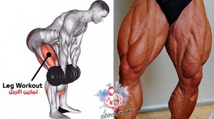 ИДЕАЛЬНОЕ УПРАЖНЕНИЕ Упражнения для ног (Наборы и повторы включены) - Leg Workout