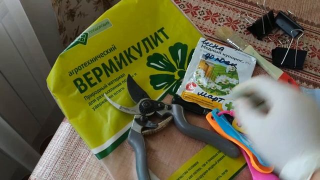 Как хранить георгины #саднадежды #какхранитьгеоргины