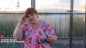 Сделайте Это Перед Посадкой Огурцов, Если Хотите Получить Богатый Урожай!