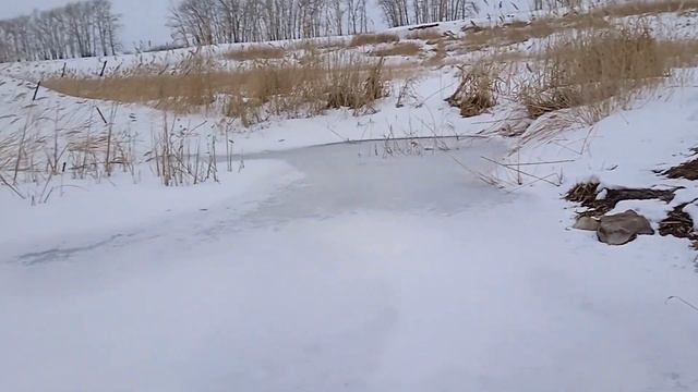 удачная рыбалка на косынки 🐟 20 февраля 2024 г смотреть онлайн