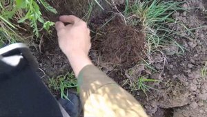 Рыбалка в Беларуси, река Птичь, приманки с AliExpress NOEBY. Поехал на щуку, а поймал...