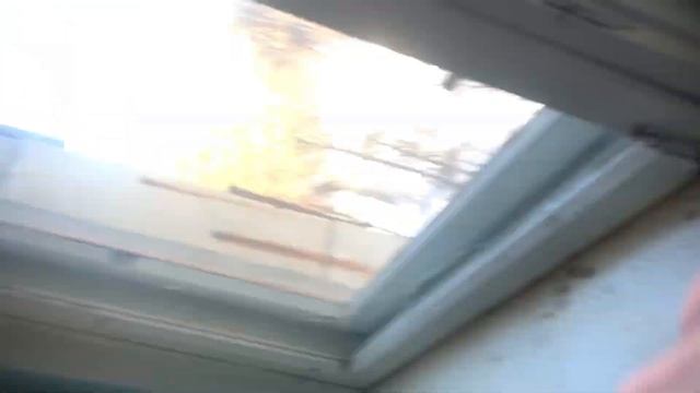 Существо выжило…? | кто оставляет все эти послания…| нашёл записки в подъезде смотреть онлайн