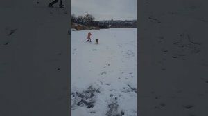 Метис ротвейлер и овчарка Ричард 10 месяцев