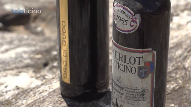 06 - Tiziano Tettamanti - Tenuta Pian Marnino смотреть онлайн