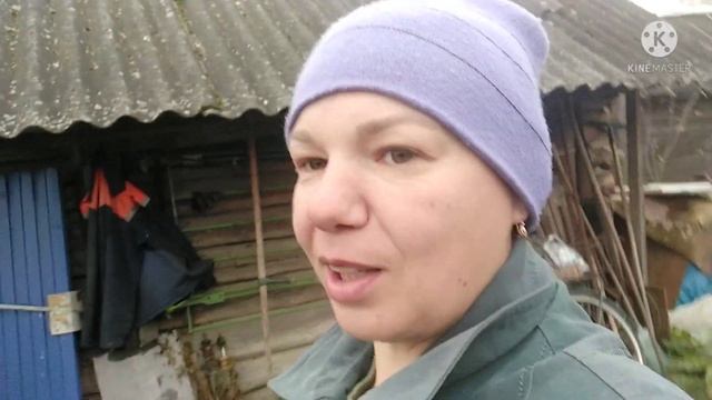 Как сохранить 46 рулонов сена без сеновала? смотреть онлайн