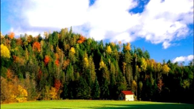 Зрелость
