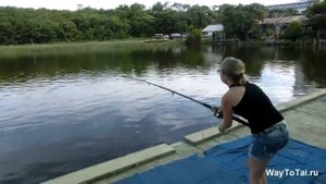 Рыбалка в Паттайе. Jomtien Fishing Park