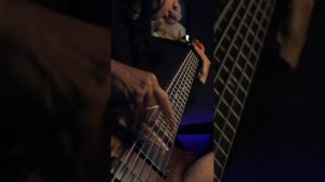 ARCHSPIRE - Human Murmuration | Bass Cover Darkglass Adam Ibanez SR506