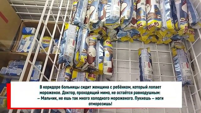 Анекдоты про муху