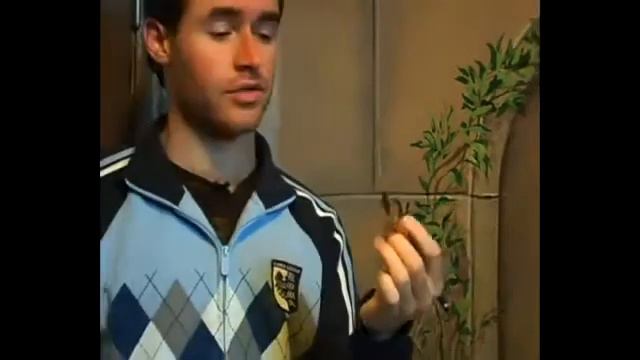 Wall Mural Stroke Painting Tips смотреть онлайн