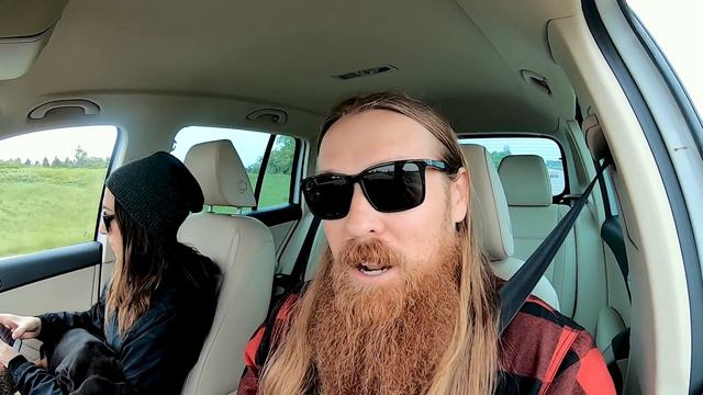 What to expect when getting your Doberman Puppy смотреть онлайн