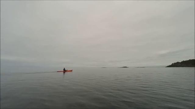 Ладога, каяки, чайки, нерпы смотреть онлайн