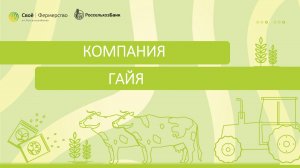 Компания ГАЙЯ
