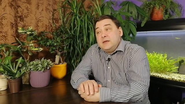 Антуриум уход в домашних условиях. 4 минуты и секреты ваши смотреть онлайн