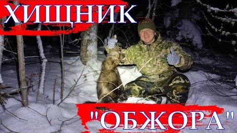 ОХОТА НА СОБОЛЯ Серия № 18 Попались хищники смотреть онлайн