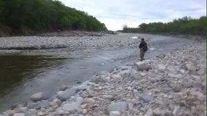 Fishing Cherry-Salmon. Сима 2017 на Спиннинг