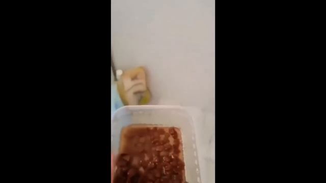 Top 5 Honorable Mention смотреть онлайн