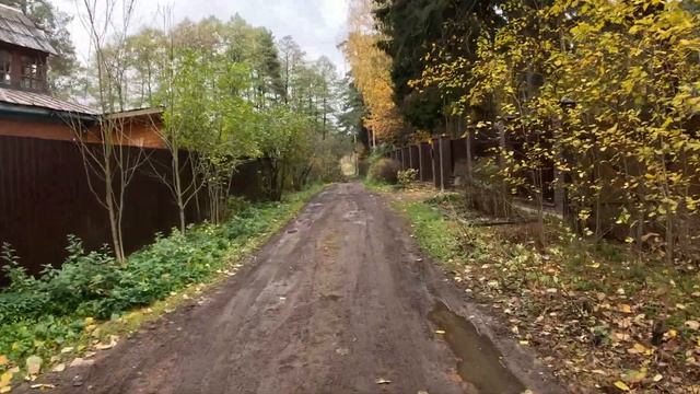 Золотая осень, после дождя. Раменское, Есенинская, Высоковольтная,  Кратово, Геофизика, Стрелка
