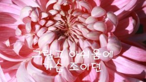 국화옆에서 / 서정주