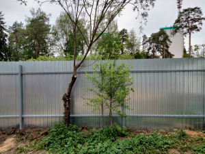 Забор из профлиста. Цена за 10 метров и 6 соток