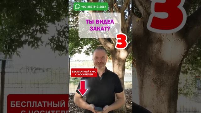 ??? Круговой тренажёр 60: Освойте английский за несколько уроков ?