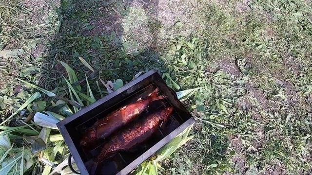 Омуль Байкальский...копчёный